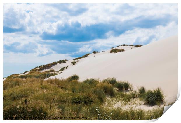 crystal white sand on the schoorl dunes in holland Print by Chris Willemsen