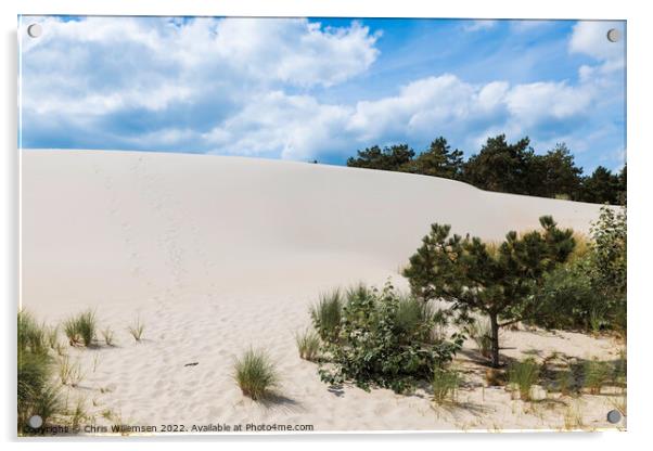 crystal white sand on the schoorl dunes in holland Acrylic by Chris Willemsen