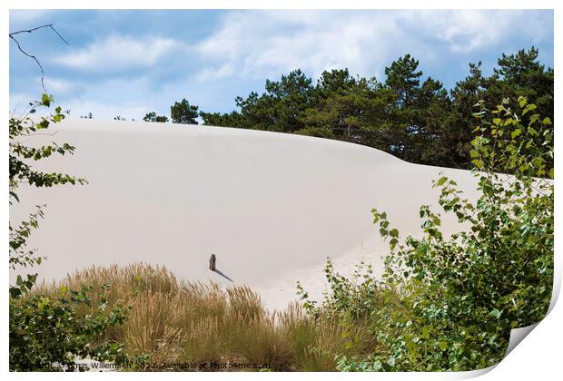 crystal white sand on the schoorl dunes in holland Print by Chris Willemsen