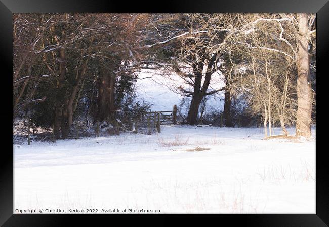 Snowy Fields Edge Framed Print by Christine Kerioak