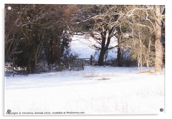 Snowy Fields Edge Acrylic by Christine Kerioak