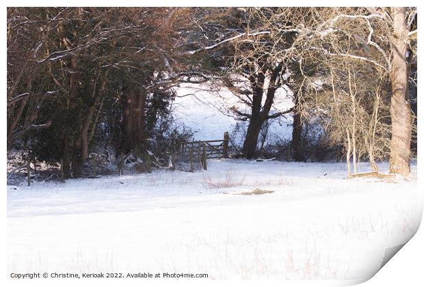 Snowy Fields Edge Print by Christine Kerioak
