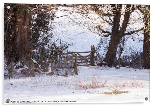 Gate at the Bottom of Snow Covered Fields Acrylic by Christine Kerioak