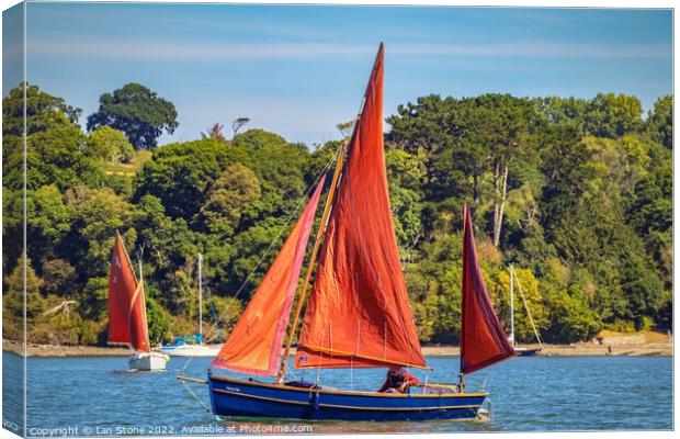 Sailing on the river Dart  Canvas Print by Ian Stone