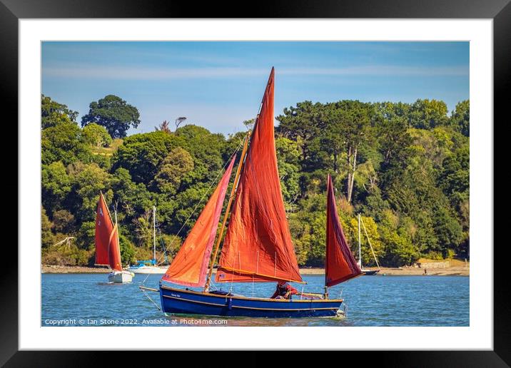 Sailing on the river Dart  Framed Mounted Print by Ian Stone