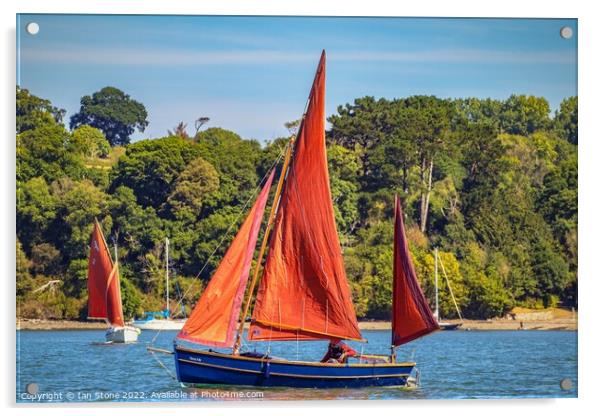Sailing on the river Dart  Acrylic by Ian Stone
