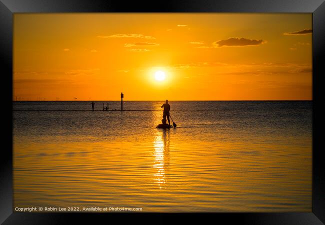 Paddleboarder at sunset Framed Print by Robin Lee