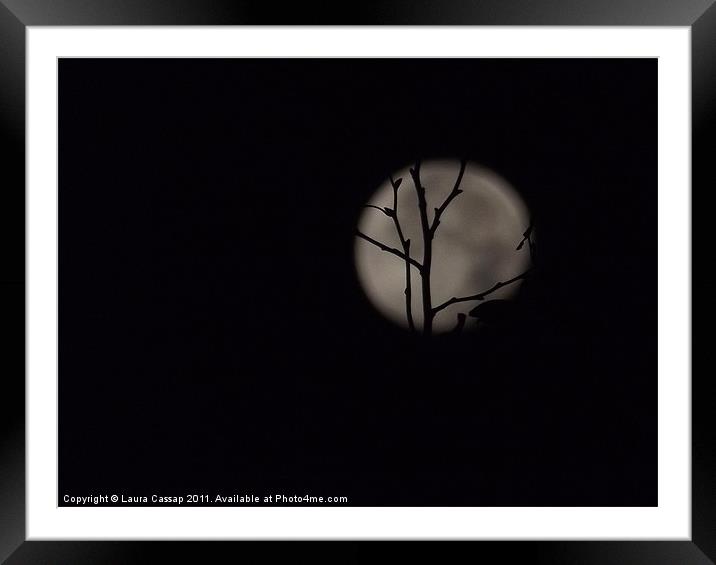 moon Framed Mounted Print by Laura Cassap