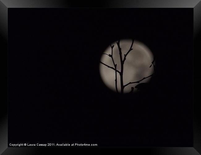 moon Framed Print by Laura Cassap