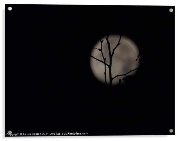 moon Acrylic by Laura Cassap