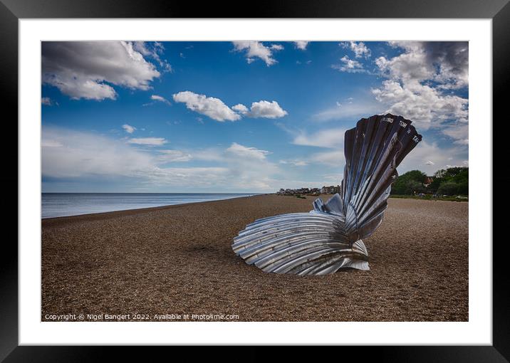 Scallop Sculpture Framed Mounted Print by Nigel Bangert