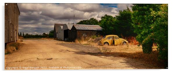 Beetle Farm Acrylic by Nigel Bangert