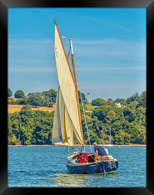 Sailing on the Dart Framed Print by Ian Stone