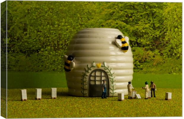 Honey Harvest at Beekeepers Cottage Canvas Print by Steve Purnell