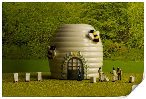 Honey Harvest at Beekeepers Cottage Print by Steve Purnell