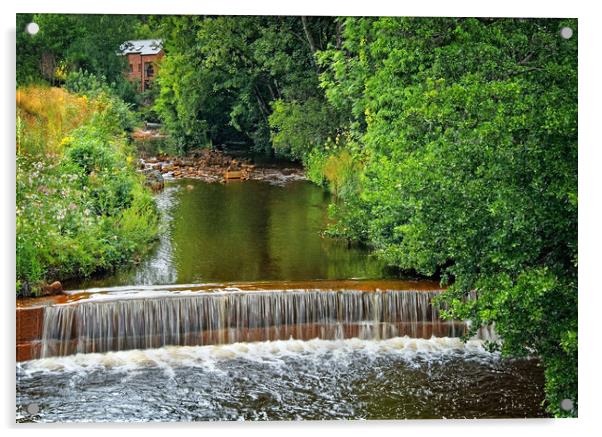 River Loxley Falls at Malin Bridge Acrylic by Darren Galpin