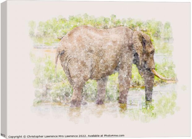 Elephant in water watercolour Canvas Print by Christopher Lawrence Mrs Lawrence