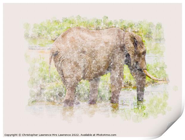 Elephant in water watercolour Print by Christopher Lawrence Mrs Lawrence