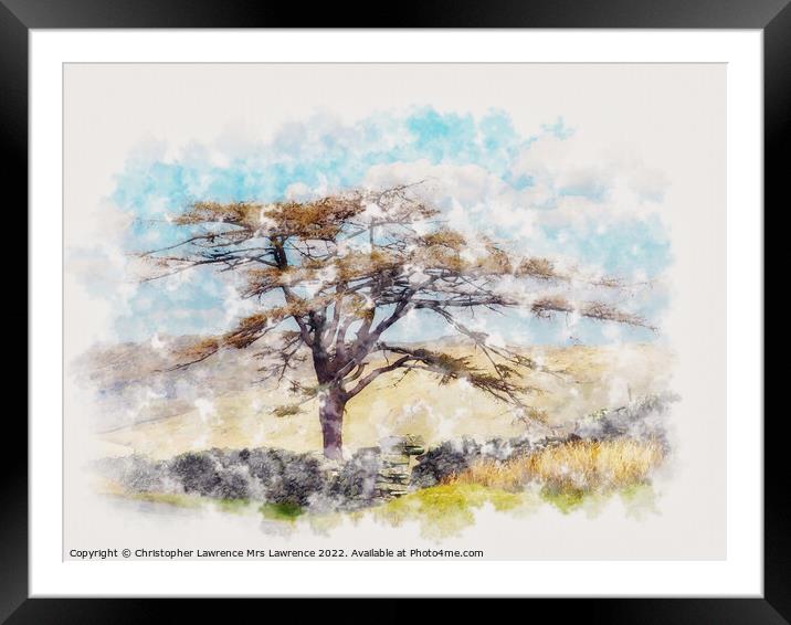Lone tree in Lakeland fells Framed Mounted Print by Christopher Lawrence Mrs Lawrence