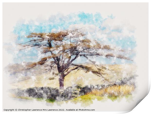 Lone tree in Lakeland fells Print by Christopher Lawrence Mrs Lawrence