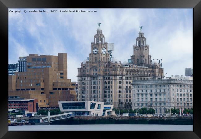Liverpool Liver Building Framed Print by rawshutterbug 