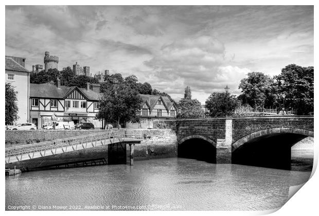  Arundel,bridge and castle monochrome Print by Diana Mower