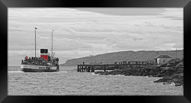 PS Waverley berthing at Millport Framed Print by Allan Durward Photography