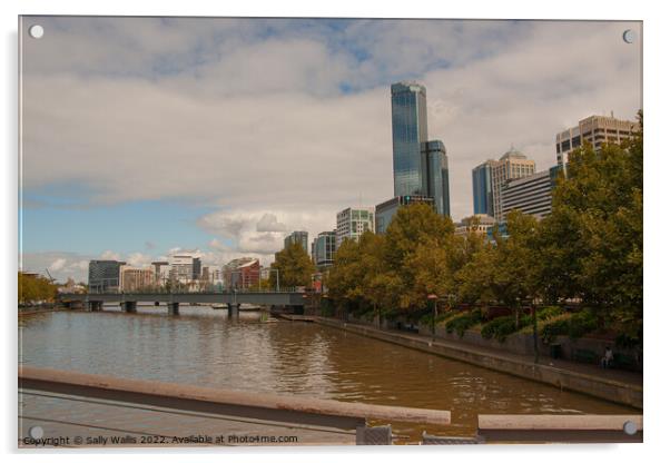 Yarra River winding through Melbourne Acrylic by Sally Wallis