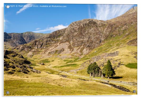 Watkin Path Route to Snowdon Acrylic by Pearl Bucknall