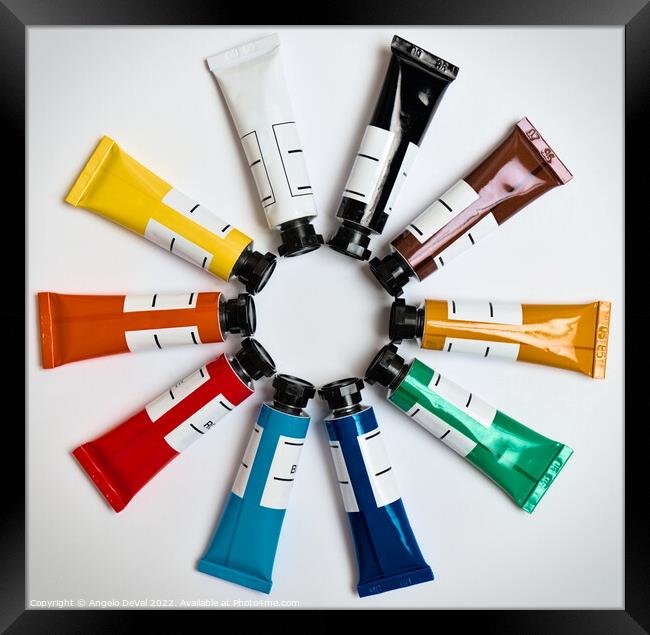 Color Wheel Framed Print by Angelo DeVal
