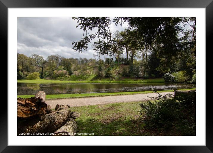 Sawn Logs Stacked Near a Lake. Framed Mounted Print by Steve Gill