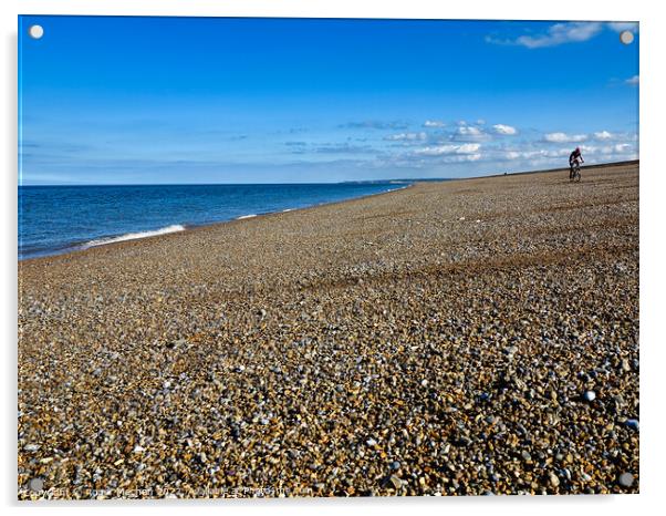 Serene solitude on Norfolk's beach Acrylic by Roger Mechan