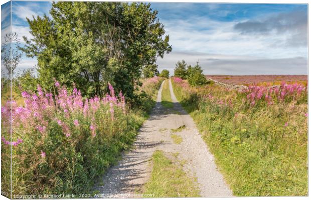 Botany Road, Mickleton, Teesdale Canvas Print by Richard Laidler