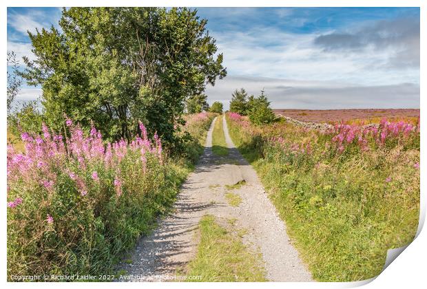 Botany Road, Mickleton, Teesdale Print by Richard Laidler