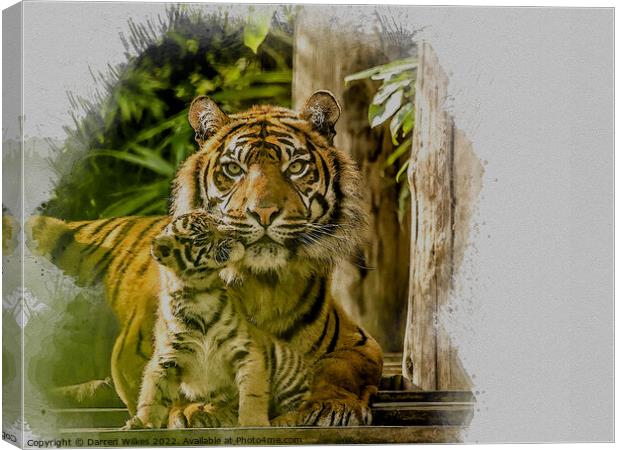 Tiger Watercolour Art Canvas Print by Darren Wilkes