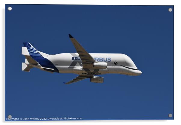 Airbus Beluga at RIAT 2022 Acrylic by John Withey