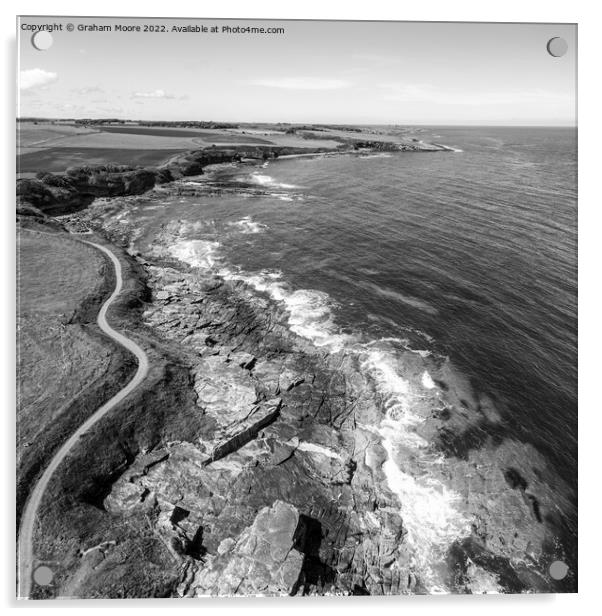 Cullernose Point from Rumbling Kern monochrome Acrylic by Graham Moore