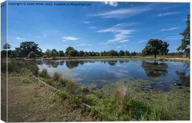 Low water level at ponds in Bushy Park Canvas Print by Kevin White