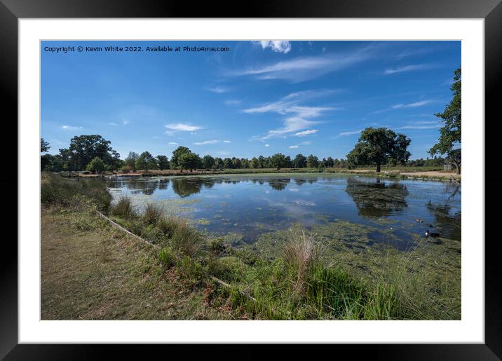 Low water level at ponds in Bushy Park Framed Mounted Print by Kevin White