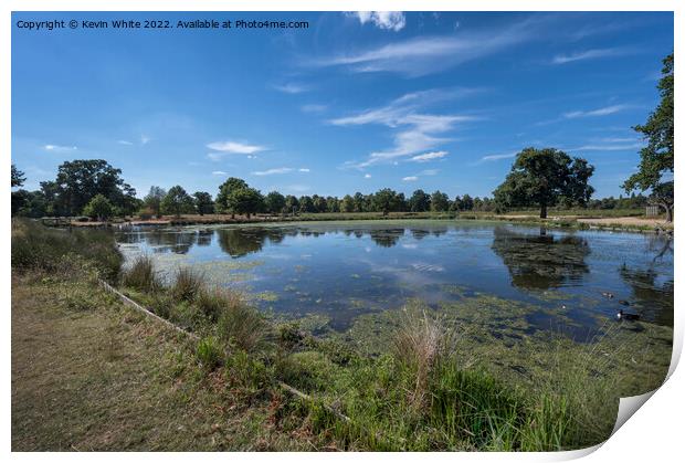 Low water level at ponds in Bushy Park Print by Kevin White