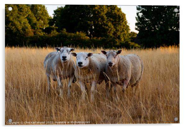 We three sheep Acrylic by Clive Karl Wuest