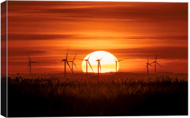 Sunset behind Tick Fen windfarm, Cambridgeshire, 7th August 2022 Canvas Print by Andrew Sharpe