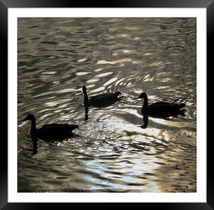 Early Morning Geese Framed Mounted Print by Stephanie Moore