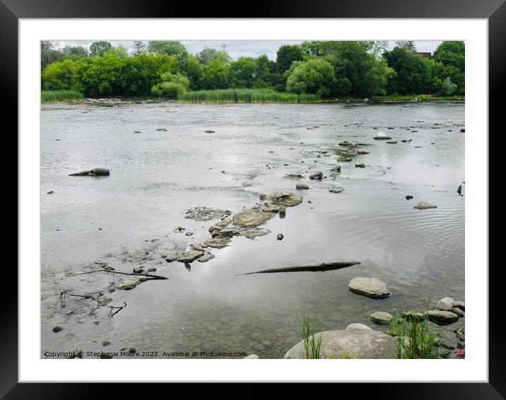 Very low Rideau River Framed Mounted Print by Stephanie Moore