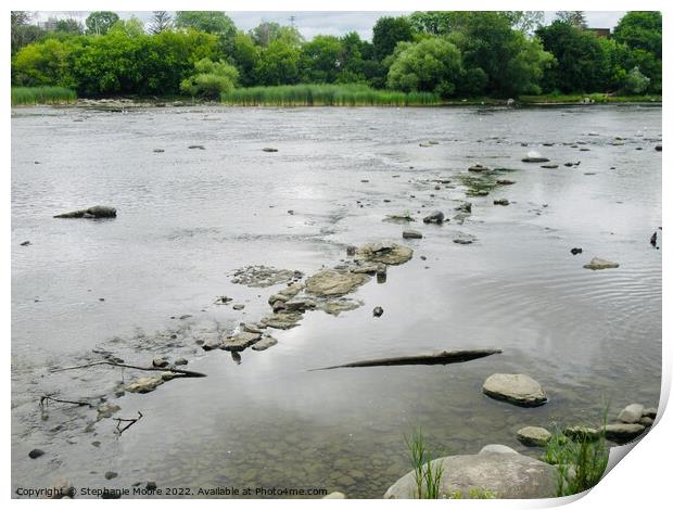 Very low Rideau River Print by Stephanie Moore