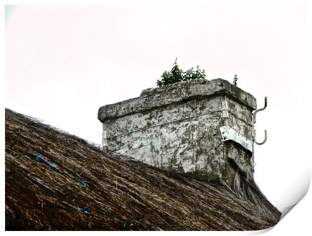 Abandoned cottage  Print by Stephanie Moore