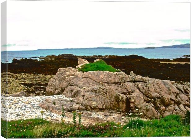 Rocky Shores of Inishowen Peninsula Canvas Print by Stephanie Moore