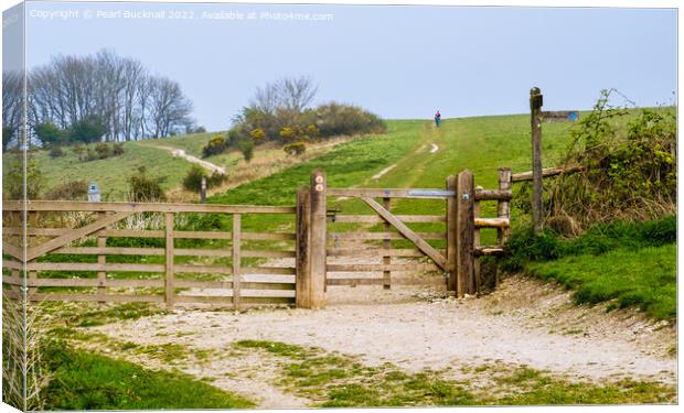 The Way to Harting Down West Sussex Canvas Print by Pearl Bucknall