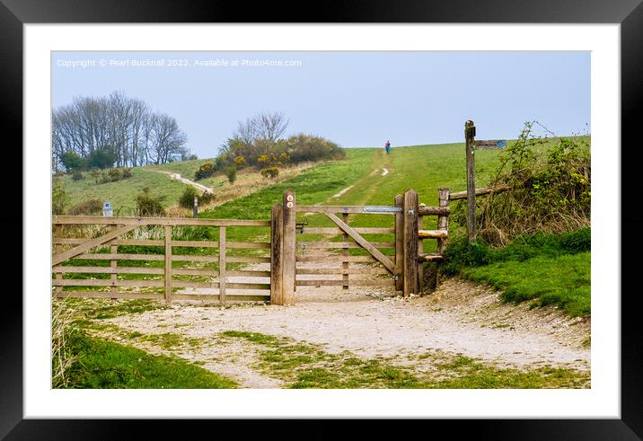 The Way to Harting Down West Sussex Framed Mounted Print by Pearl Bucknall