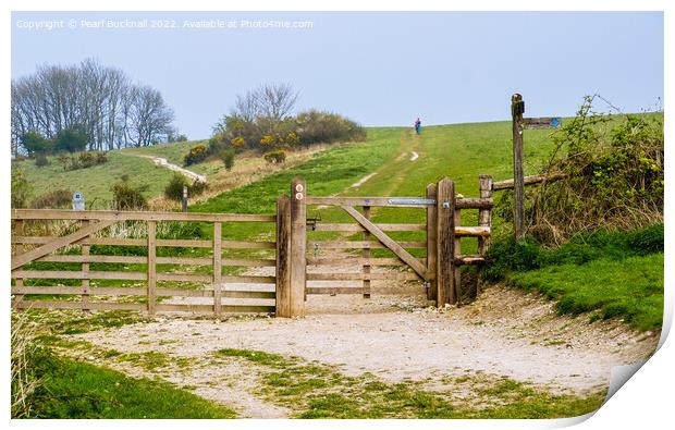 The Way to Harting Down West Sussex Print by Pearl Bucknall